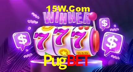 Pugbet Curitiba - Statistics
